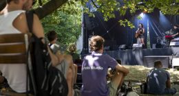Audience members sitting under a tree listening to a musician performing at an outdoor music festival.
