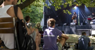 Audience members sitting under a tree listening to a musician performing at an outdoor music festival.