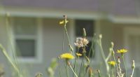 16-month-old found dead in South Augusta home, another child sent to hospital as RCSO investigates
