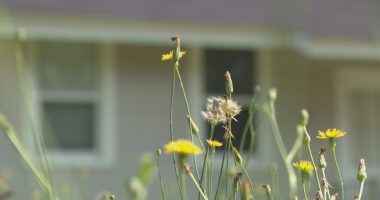 16-month-old found dead in South Augusta home, another child sent to hospital as RCSO investigates