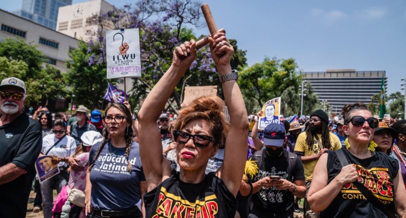 A day of LA anti-ICE protests in photos