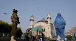 A top Taliban official offers amnesty to Afghans who fled the country and urges them to return