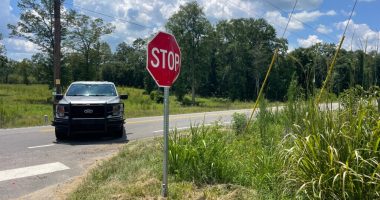 ACSO deputies shoot burglary suspect brandishing machete, gun; SLED investigating