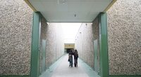 Absent for ICE: Trump immigration enforcement hits school attendance, study shows