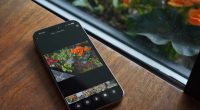 Adobe’s Project Indigo app is making me rethink phone photography