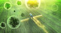 Agroterrorism Fungus Smuggling Threatens Food Security