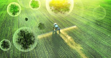 Agroterrorism Fungus Smuggling Threatens Food Security
