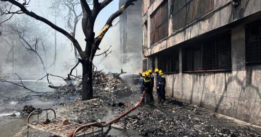 Air India plane crashes in Ahmedabad, more than 240 feared dead