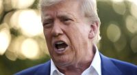 Albanese backs Donald Trump after his 'abrupt' F-bomb