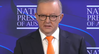 Prime Minister Anthony Albanese said 9News US Correspondent Lauren Tomasi had been targeted when she was shot by a rubber bullet while covering intensifying protests over mass immigration raids and arrests in Los Angeles. ï»¿