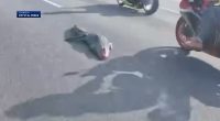 Alligator on I-4 causes motorcyclists to crash: 'I flipped over the handlebars'