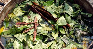American tourist dies in shamanic ritual in Peru