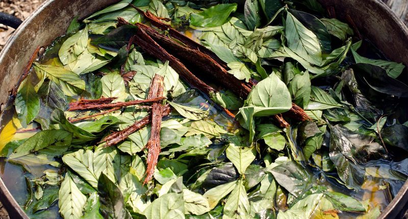American tourist dies in shamanic ritual in Peru