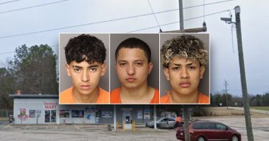 Americans at risk 'anywhere' after 6 illegal immigrants are charged in mother's murder: congressman
