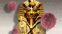 Ancient 'pharaoh's curse' could help fight cancer: study