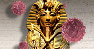Ancient 'pharaoh's curse' could help fight cancer: study