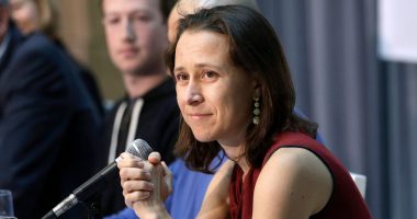 Anne Wojcicki to buy back 23andMe and its data for $305 million
