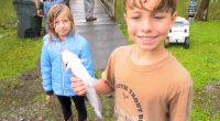Annual Carl Lane Catfish Derby hosted in Kingsport on TN's Free Fishing Day