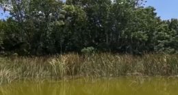 Apopka seeks massive grant funding to address flooding concerns