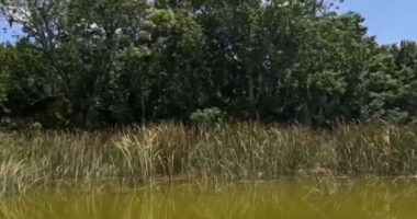 Apopka seeks massive grant funding to address flooding concerns