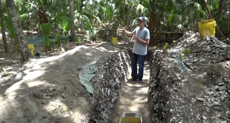Archaeologists discover odd shell mound formations, wonder if used for Native American ceremonial purposes
