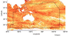 A map showing marine heatwaves in the South-West Pacific in 2024.