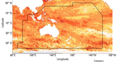 A map showing marine heatwaves in the South-West Pacific in 2024.