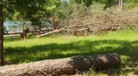 Army Corps of Engineers secures funding for storm cleanup at Clarks Hill Lake