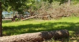 Army Corps of Engineers secures funding for storm cleanup at Clarks Hill Lake