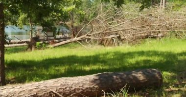 Army Corps of Engineers secures funding for storm cleanup at Clarks Hill Lake