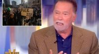 Arnold Schwarzenegger says immigrants need to act responsibly, 'behave' like guests