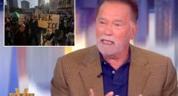 Arnold Schwarzenegger says immigrants need to act responsibly, 'behave' like guests