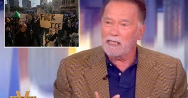 Arnold Schwarzenegger says immigrants need to act responsibly, 'behave' like guests