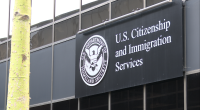 Asylum-seekers worry over potential changes to work permit rules