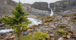 Bow Glacier Falls is located near Banff, in Alberta. The falls originates from melt water from the Bow Glacier and flows into Bow Lake.