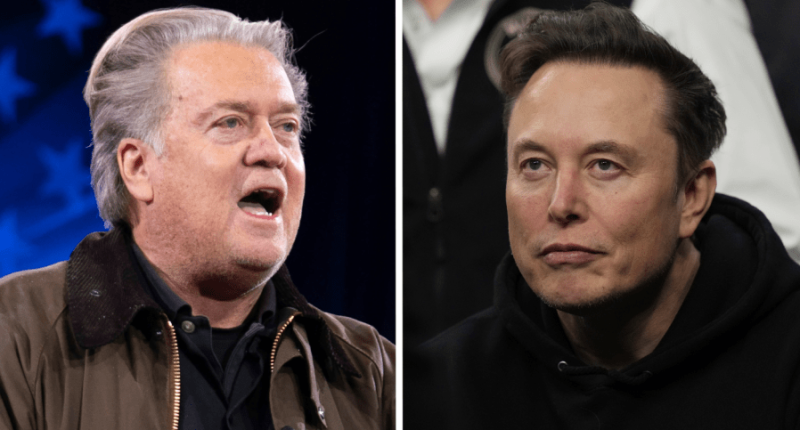 Bannon calls for special counsel probe of Musk