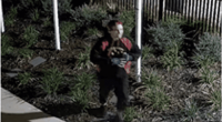 Boogie burglar dances like nobody's watching before break-in