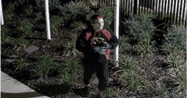 Boogie burglar dances like nobody's watching before break-in