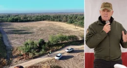 Border czar Tom Homan reveals unprecedented success in Trump's border strategy