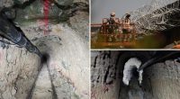Border patrol agents shut down sophisticated drug smuggling tunnel between San Diego and Mexico