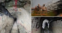 Border patrol agents shut down sophisticated drug smuggling tunnel between San Diego and Mexico
