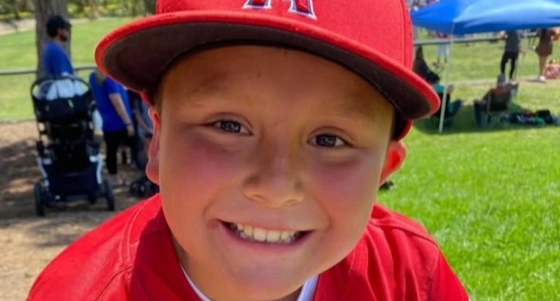 Boy, 10, 'killed by a poisoned shrimp' at family home