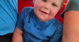 A toddler in a blue shirt sits on someone's lap.