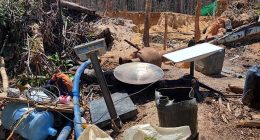 Brazil strikes deal with Musk's Starlink to curb criminal use in the Amazon rainforest
