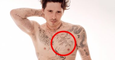 Brooklyn's savage tattoo rebuke to Victoria: ALISON BOSHOFF