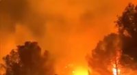 Wildfire raging through trees, with people silhouetted in the foreground.