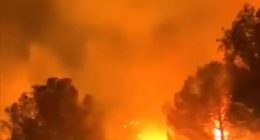 Wildfire raging through trees, with people silhouetted in the foreground.