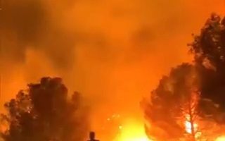 Wildfire raging through trees, with people silhouetted in the foreground.