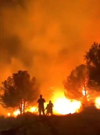 Wildfire raging through trees, with people silhouetted in the foreground.