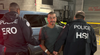 California sheriff says Newsom ‘encouraged’ LA riots as ICE arrests violent illegal aliens